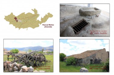 Pascual Muñoz (Amavida)